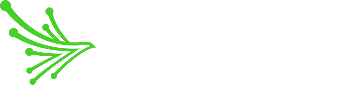 Black Kite horizontal logo for dark background